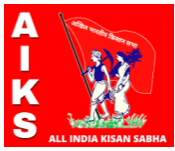 AIKS Logo